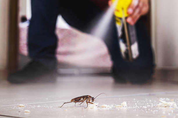 Best Wasp Removal Services  in Yardley, PA