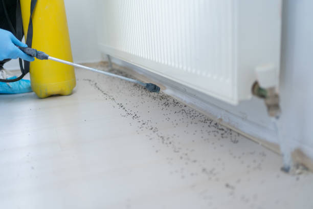 Best Local Pest Control Services  in Yardley, PA